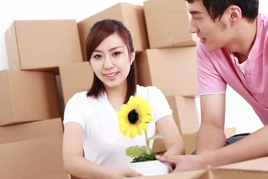 Couple packing a plant