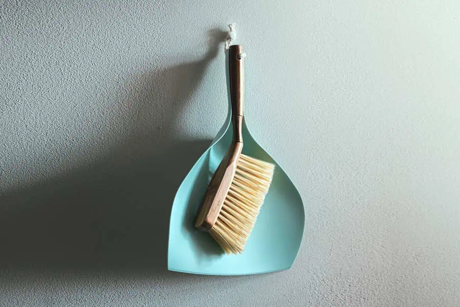 Cleaning brush and dustpan