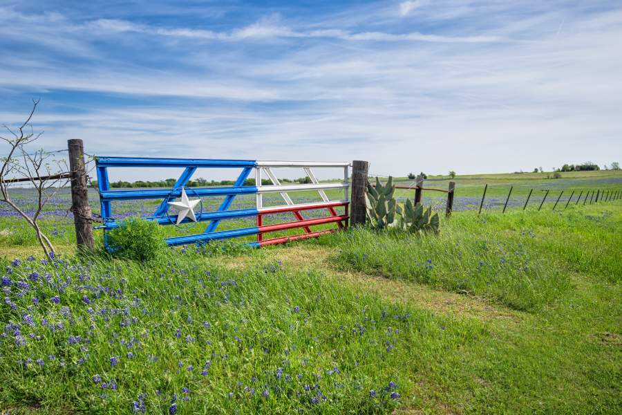 farm gate painted like the texas flag