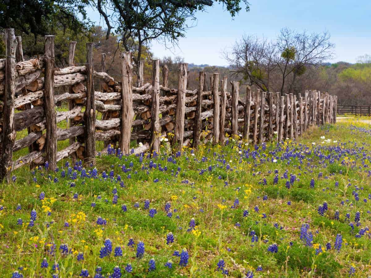 Movers in Burleson, TX Great White Moving Company Fort Worth Movers