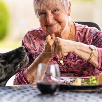 smiling senior woman enjoying a meal outdoors with her Labrador