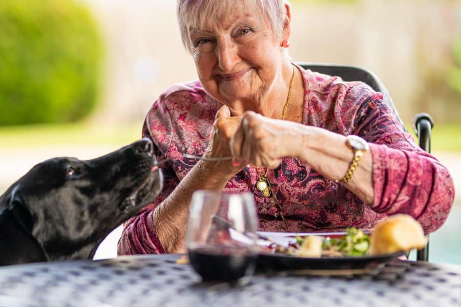 smiling senior woman enjoying a meal outdoors with her Labrador